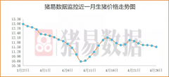 猪肉跌破15元上热搜 分析师：预计5月下旬拐点