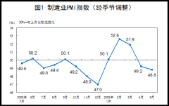 国家统计局：5月官方制造业PMI为48.8% 比上月下降0.4个百分点