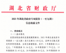 新增地方债要来了！湖北“首发”250亿，二季度有望“大放水”，新基建项目或成今年热门