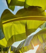 别被化妆品成分表难住!化妆品选购不盲目|上海市消保委美丽健康专业办