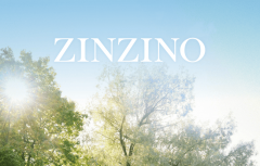 牵手“有赞”!圣希诺Zinzino进军中国市场首月